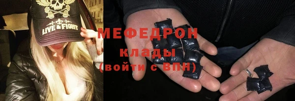 индика Няндома
