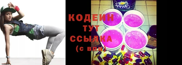 индика Няндома