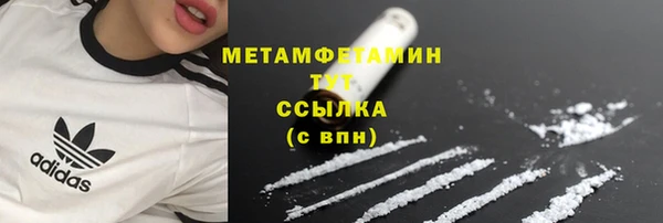 индика Няндома