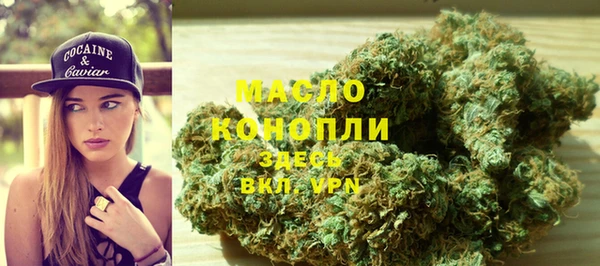 индика Няндома