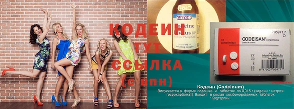 индика Няндома