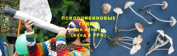 прущая мука Абаза