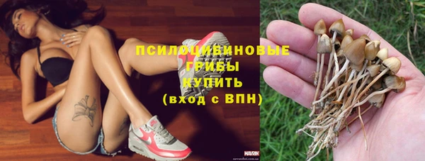 шишки Нягань